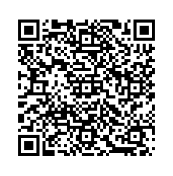 Report Example QR Code